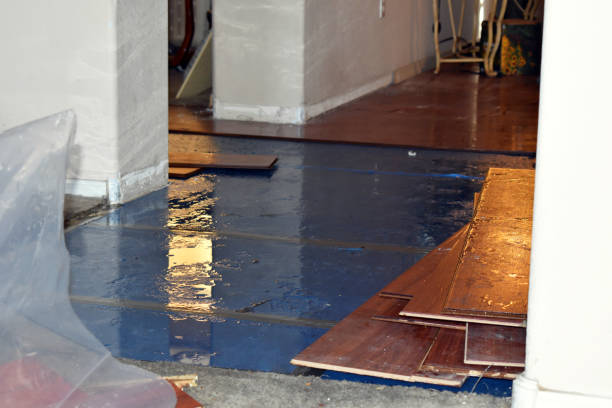 Professional Sewage Cleanup technician working in Biwabik, MN